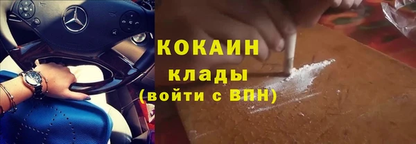 тгк Абинск