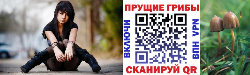 Псилоцибиновые грибы мухоморы darknet клад Вышний Волочёк
